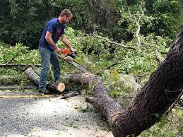 Best Mulching Services  in Claremont, CA