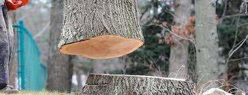 Best Emergency Tree Removal  in Claremont, CA